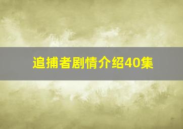 追捕者剧情介绍40集