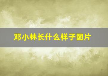 邓小林长什么样子图片