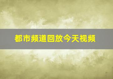 都市频道回放今天视频