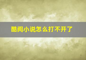 酷阅小说怎么打不开了