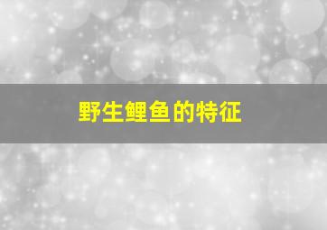 野生鲤鱼的特征