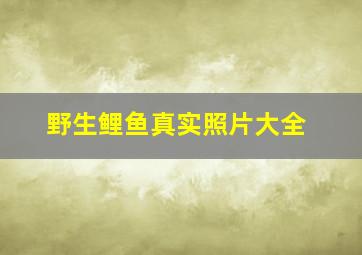 野生鲤鱼真实照片大全