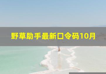 野草助手最新口令码10月