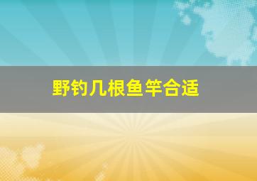 野钓几根鱼竿合适