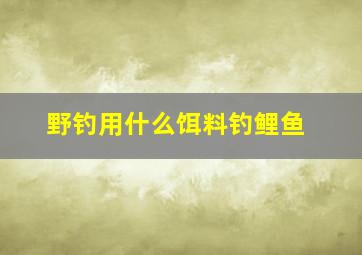 野钓用什么饵料钓鲤鱼