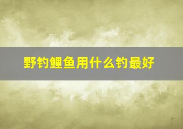 野钓鲤鱼用什么钓最好