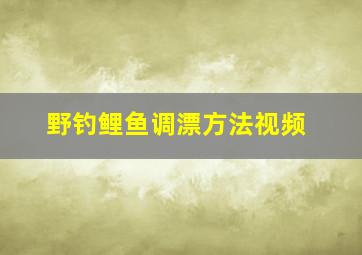 野钓鲤鱼调漂方法视频