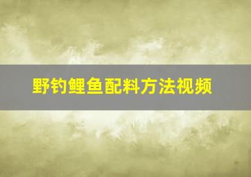 野钓鲤鱼配料方法视频