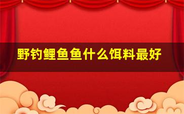 野钓鲤鱼鱼什么饵料最好