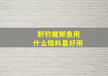 野钓鲤鲫鱼用什么饵料最好用