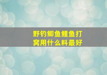 野钓鲫鱼鲤鱼打窝用什么料最好