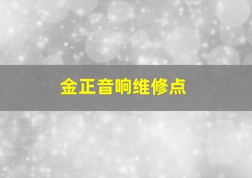 金正音响维修点