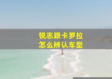 锐志跟卡罗拉怎么辨认车型