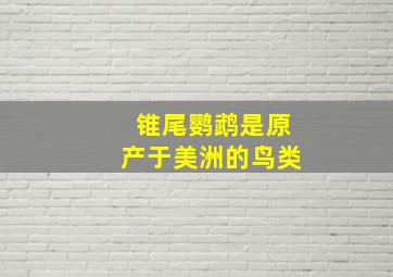 锥尾鹦鹉是原产于美洲的鸟类