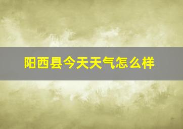 阳西县今天天气怎么样