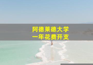 阿德莱德大学一年花费开支