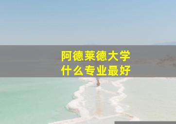 阿德莱德大学什么专业最好