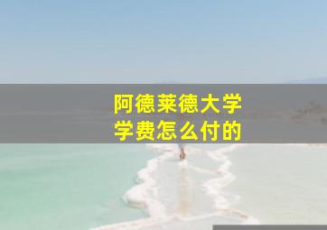 阿德莱德大学学费怎么付的