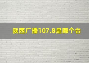 陕西广播107.8是哪个台