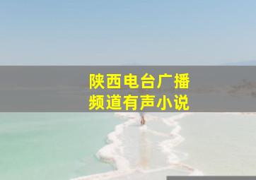 陕西电台广播频道有声小说