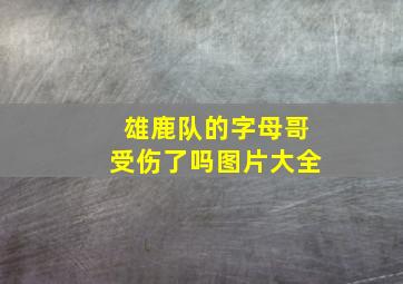 雄鹿队的字母哥受伤了吗图片大全