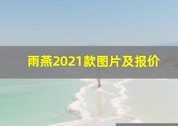 雨燕2021款图片及报价