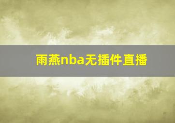 雨燕nba无插件直播