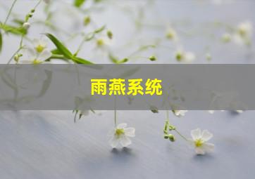 雨燕系统