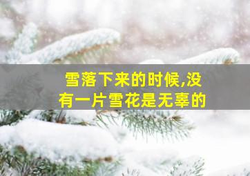 雪落下来的时候,没有一片雪花是无辜的