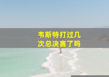 韦斯特打过几次总决赛了吗