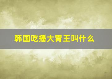 韩国吃播大胃王叫什么