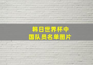 韩日世界杯中国队员名单图片