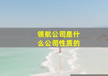 领航公司是什么公司性质的