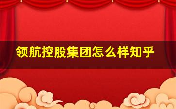 领航控股集团怎么样知乎