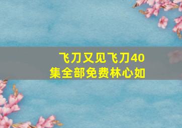 飞刀又见飞刀40集全部免费林心如