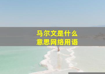 马尔文是什么意思网络用语