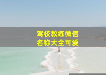 驾校教练微信名称大全可爱