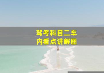 驾考科目二车内看点讲解图