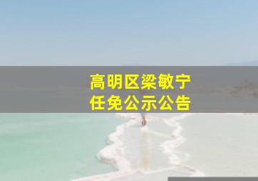 高明区梁敏宁任免公示公告