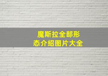 魔斯拉全部形态介绍图片大全