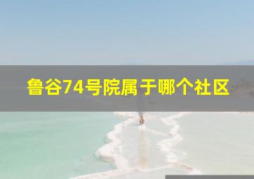 鲁谷74号院属于哪个社区