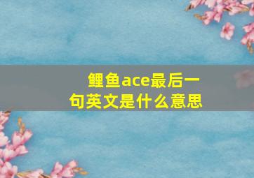 鲤鱼ace最后一句英文是什么意思