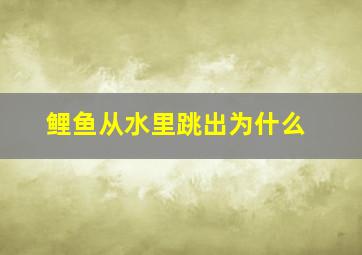 鲤鱼从水里跳出为什么