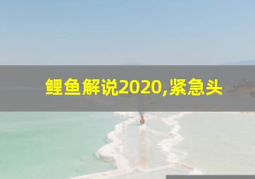 鲤鱼解说2020,紧急头