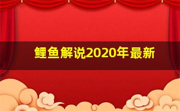 鲤鱼解说2020年最新