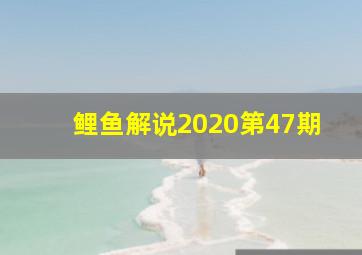 鲤鱼解说2020第47期