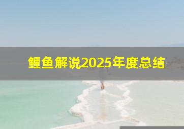 鲤鱼解说2025年度总结