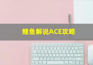 鲤鱼解说ACE攻略