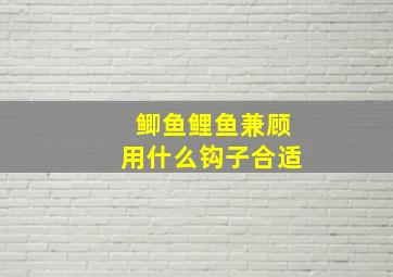 鲫鱼鲤鱼兼顾用什么钩子合适