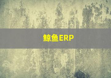 鲸鱼ERP